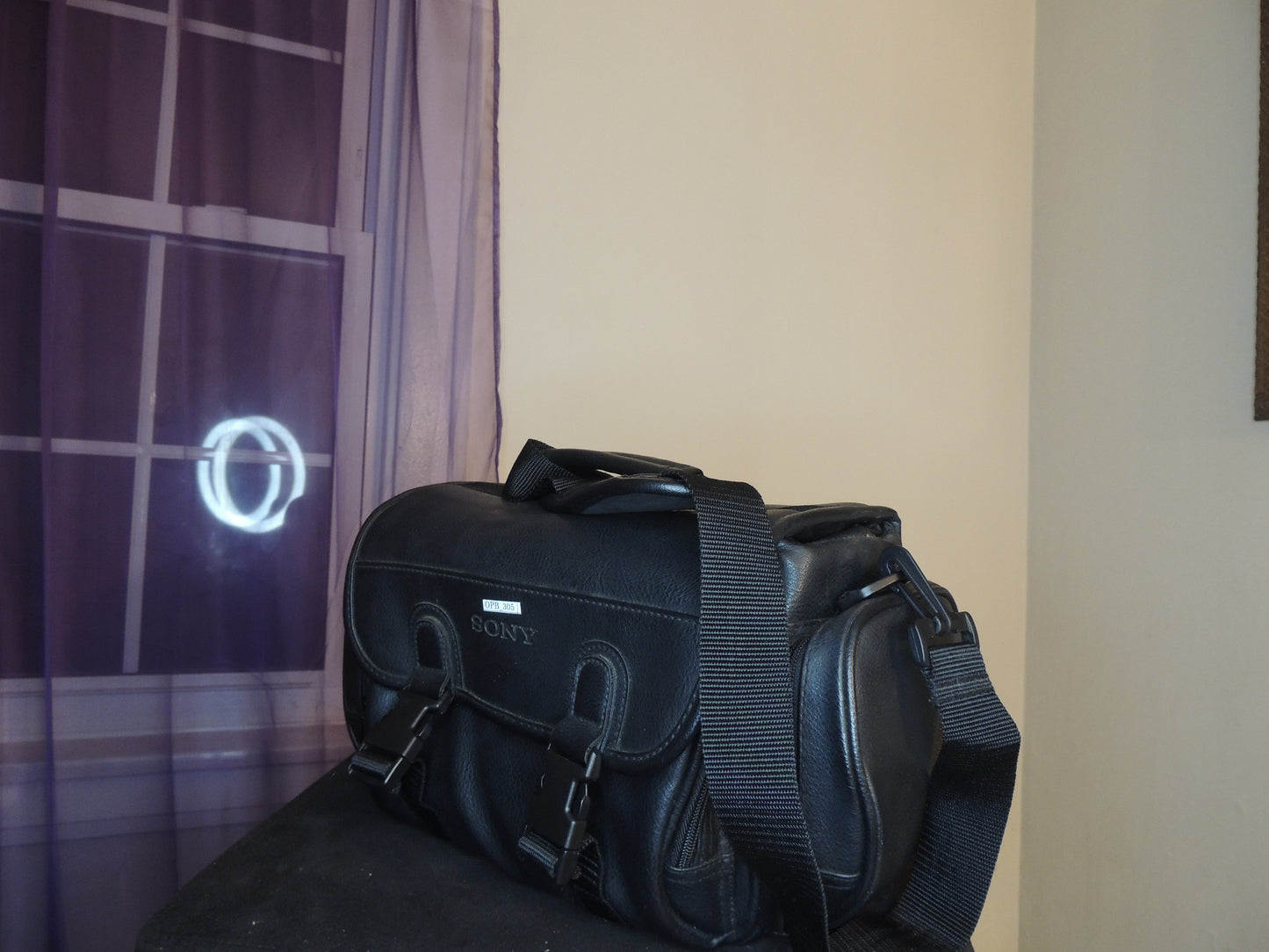 Sony Padded Bag Carrying Case for Cameras/Camcorders (model LCS-VA2) (water proof and shock resistant) (treated leather) (brand new)