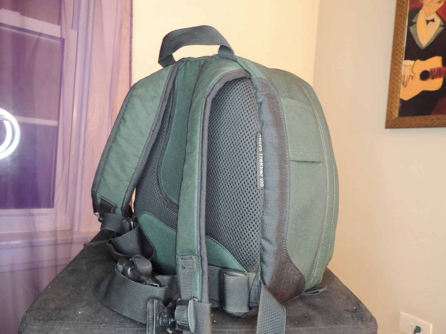 LowePro Micro Trekker 200 Padded Camera Equipment Bag (water proof and shock resistant) (brand new)
