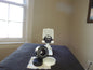 Lens, Minolta AF Zoom 35-70mm, 1:3.5(22)-4.5, ⌀49mm